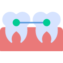 Erişkin Ortodontisi